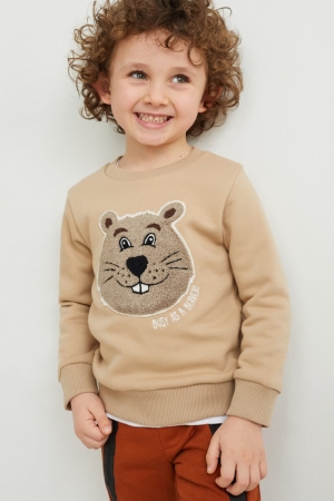 C&A Grigie Marroni | 9531-SHWTN